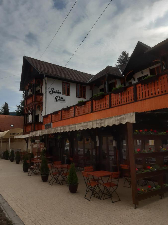 Vila Szoke Sovata Hotel Exterior photo