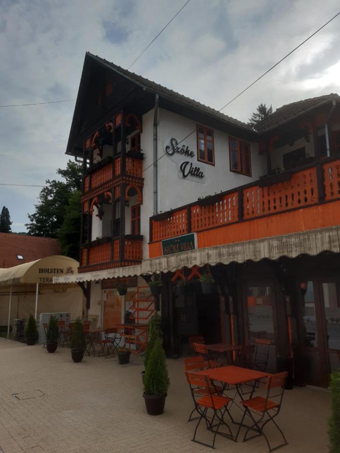 Vila Szoke Sovata Exterior photo